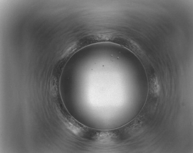 X0000053020414200507152019