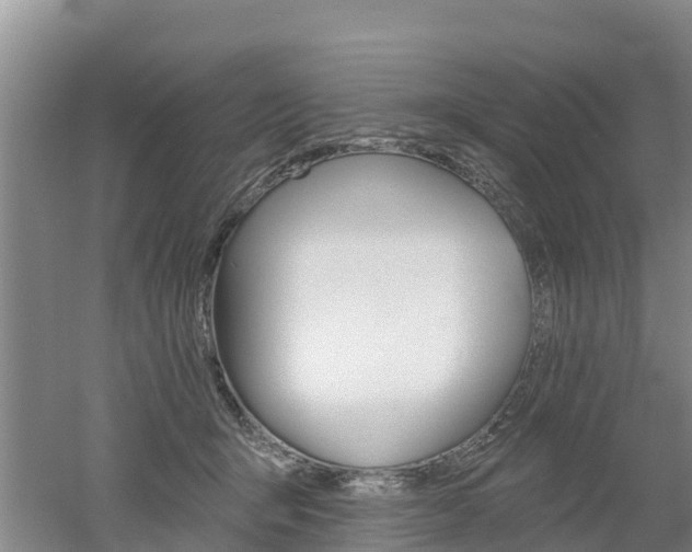 X0000053020415200507152019