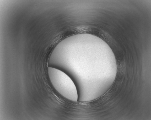 X0000053020418200507152019