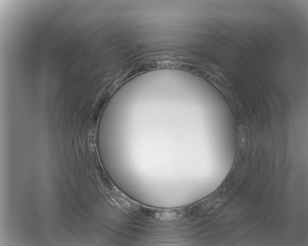 X0000053020419200507152019