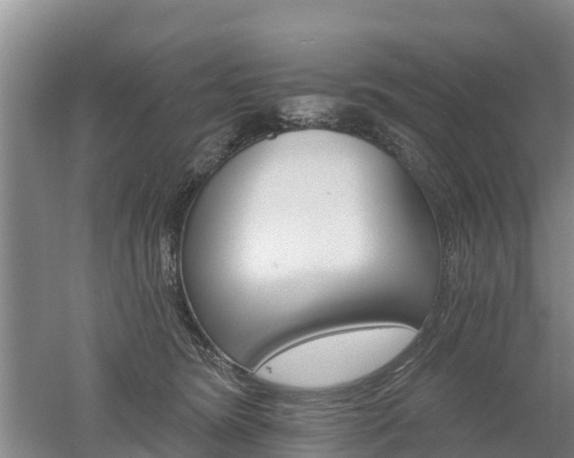 X0000053020420200507152019