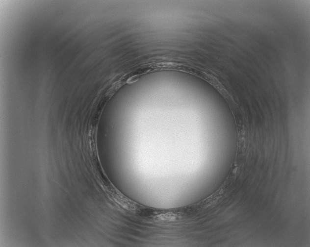 X0000053020423200507152019