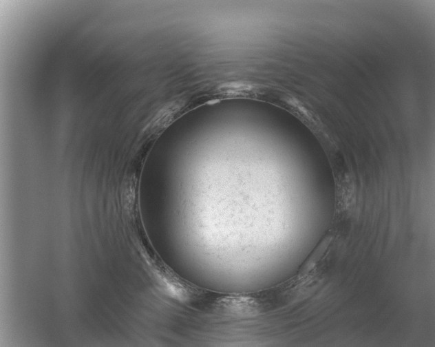 X0000053020427200507152019