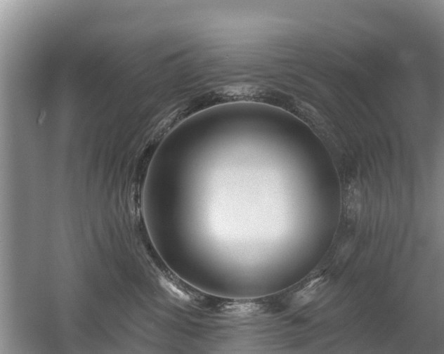 X0000053020428200507152019