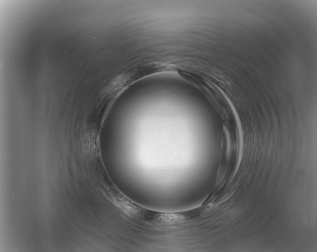 X0000053020429200507152019