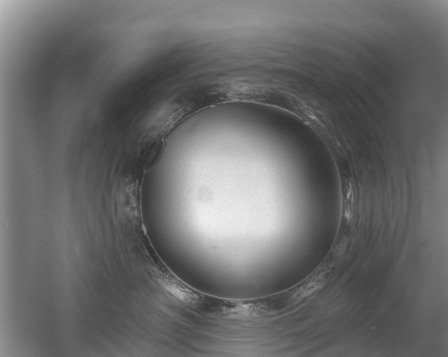 X0000053020430200507152019