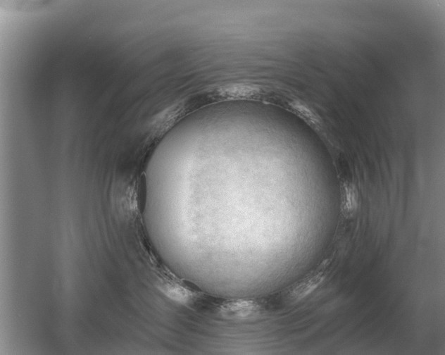 X0000053020431200507152019