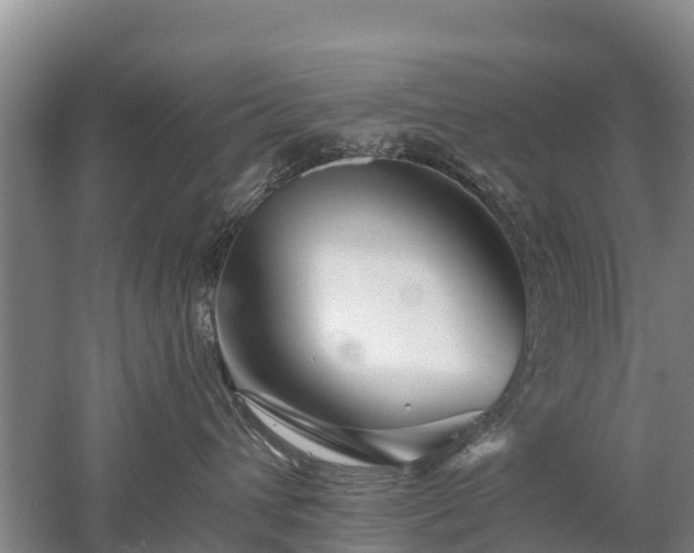 X0000053020432200507152019