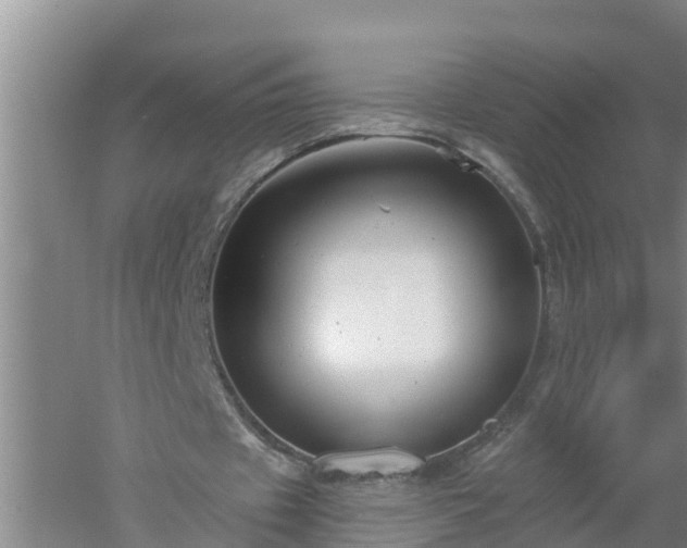 X0000053020433200507152018