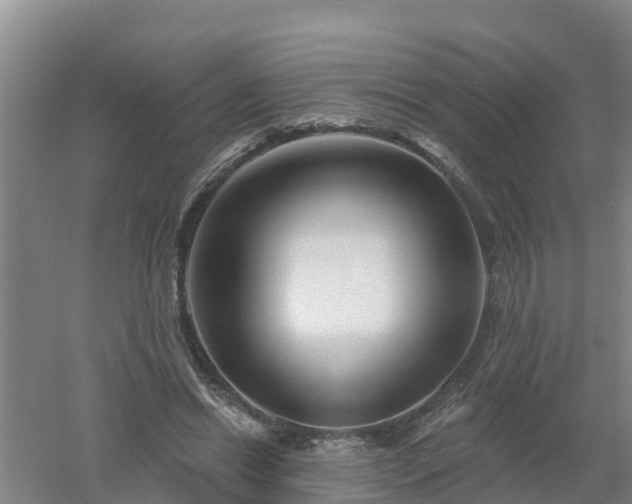 X0000053020446200507152018