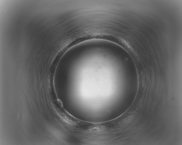 X0000053020447200507152018