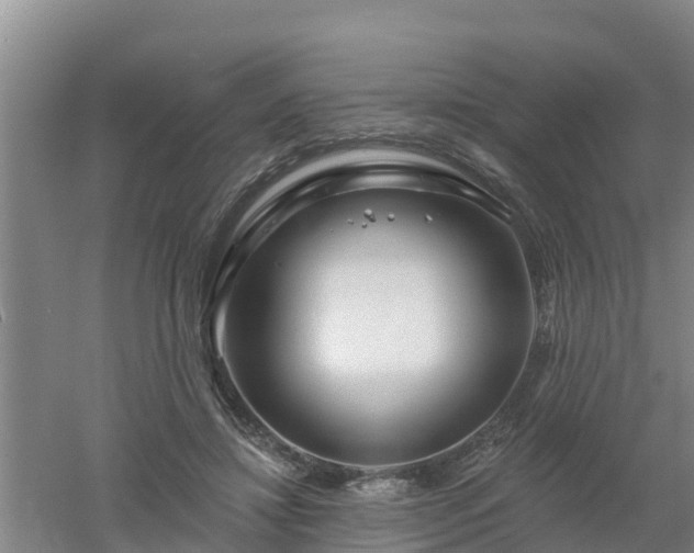 X0000053020452200507152018