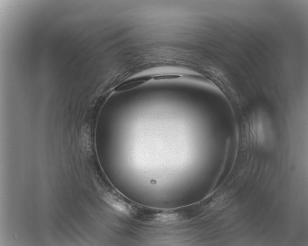 X0000053020457200507152018