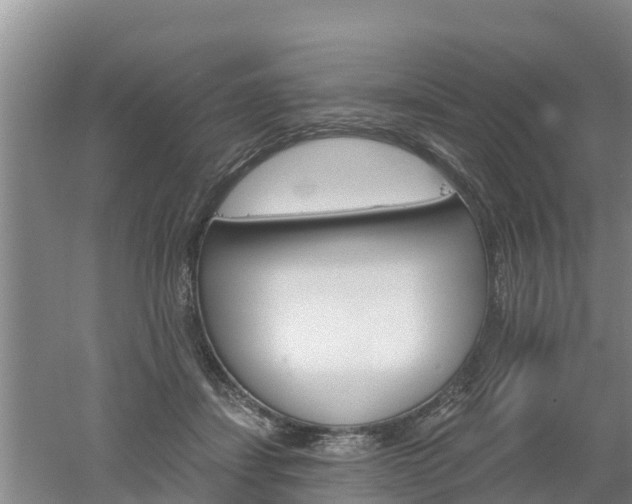 X0000053020459200507152018