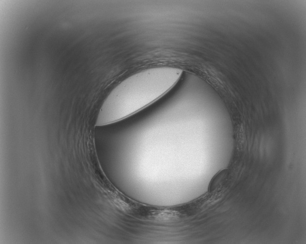 X0000053020463200507152018