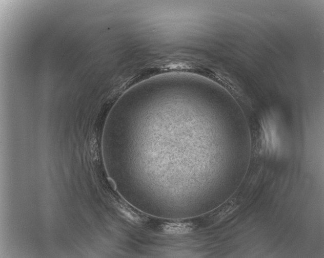 X0000053020465200507152018