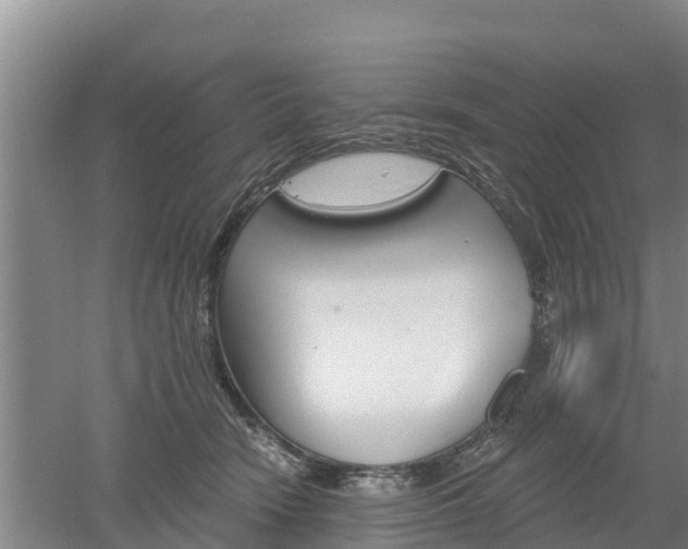 X0000053020466200507152018