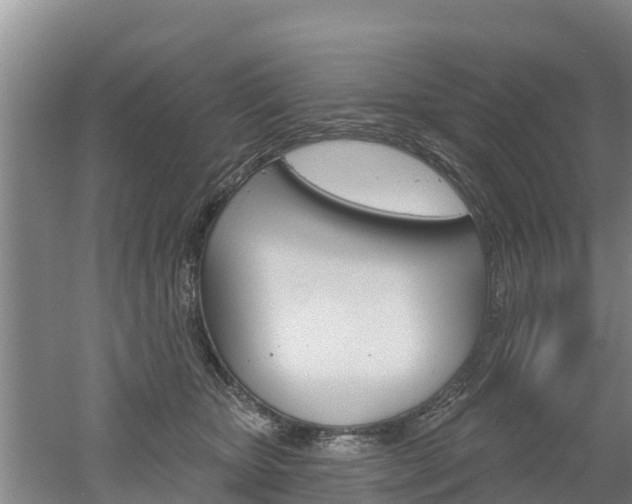 X0000053020467200507152018