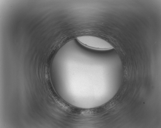 X0000053020470200507152018