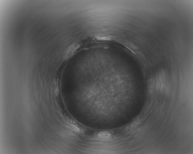 X0000053020471200507152018