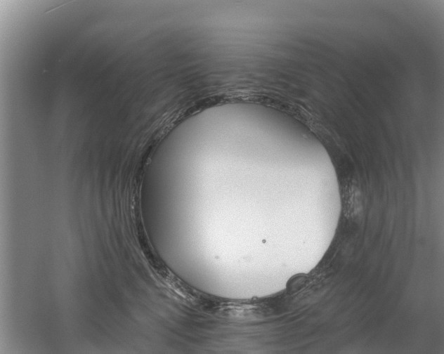 X0000053020472200507152018