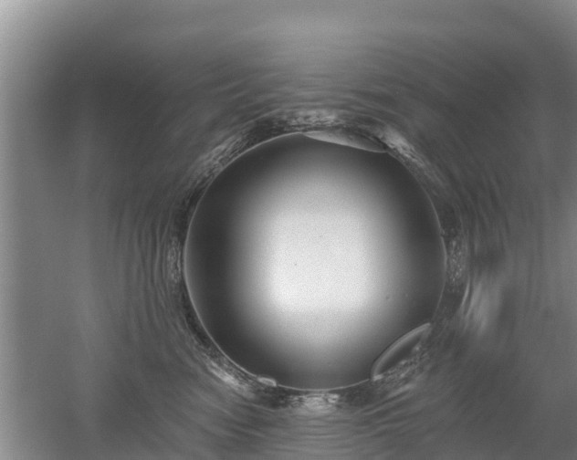 X0000053020474200507152018