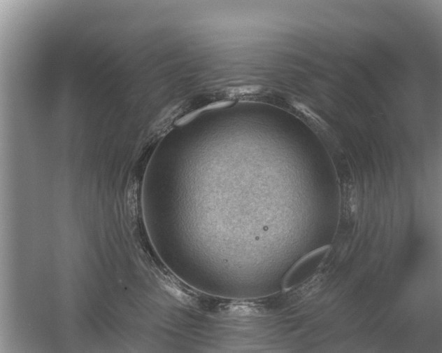 X0000053020475200507152019