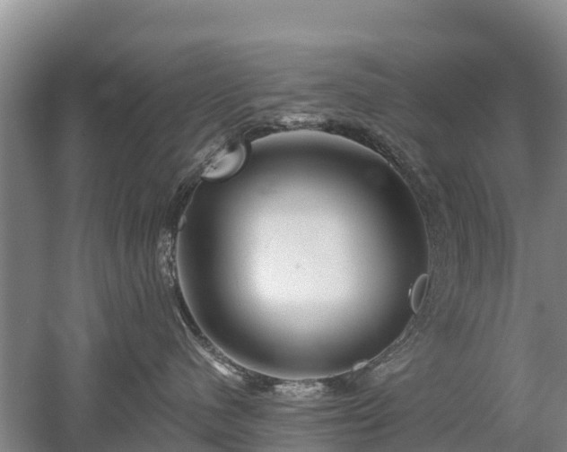 X0000053020480200507152019