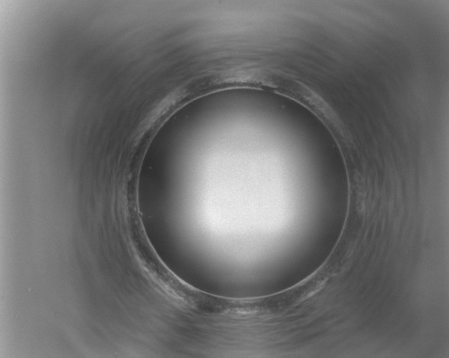 X0000053020482200507152018