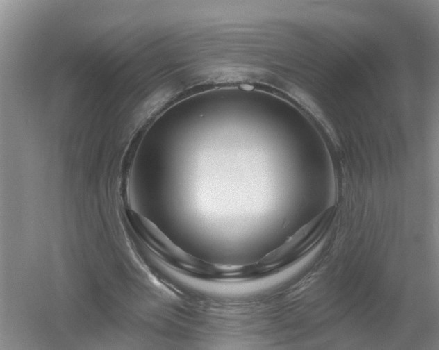 X0000053020485200507152018