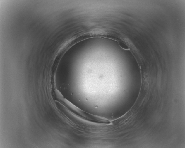 X0000053020487200507152018