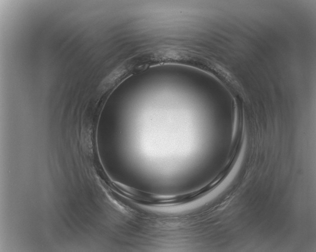 X0000053020489200507152018