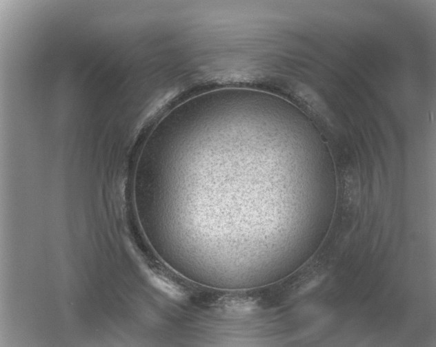 X0000053020491200507152018