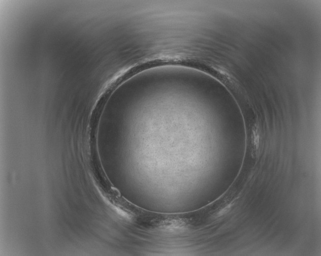 X0000053020492200507152018