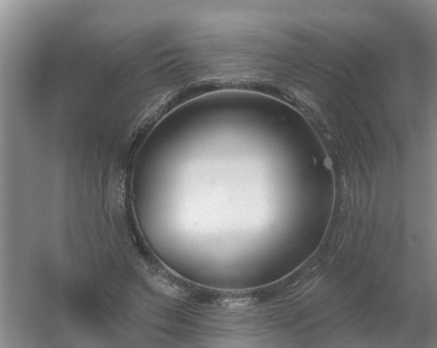 X0000053020495200507152018