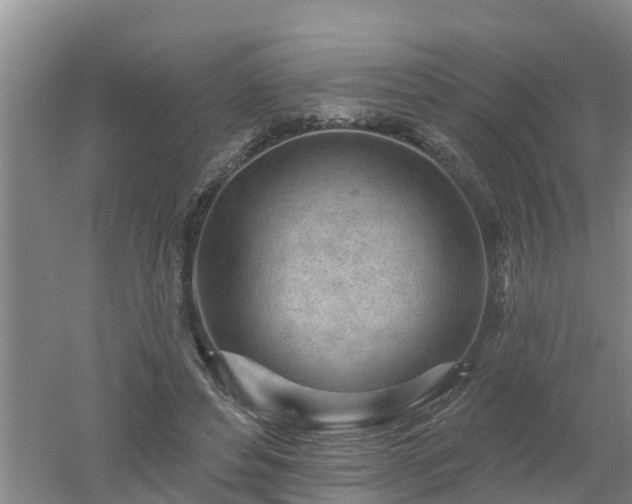 X0000053020496200507152018