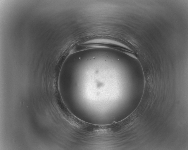 X0000053020499200507152017