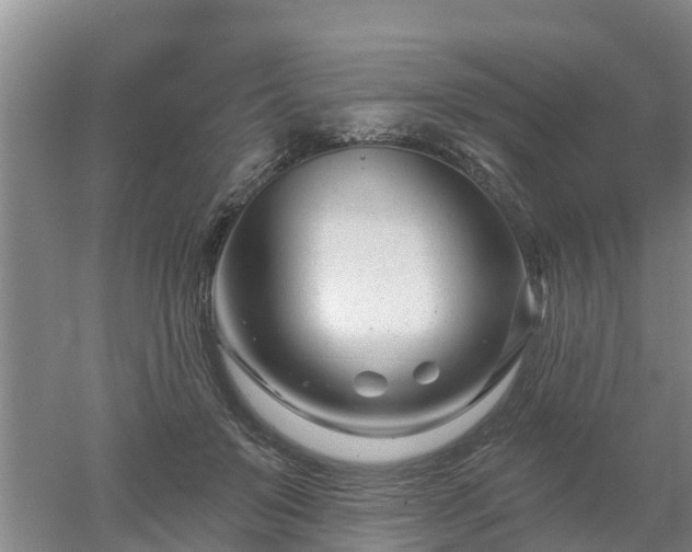 X0000053020503200507152017