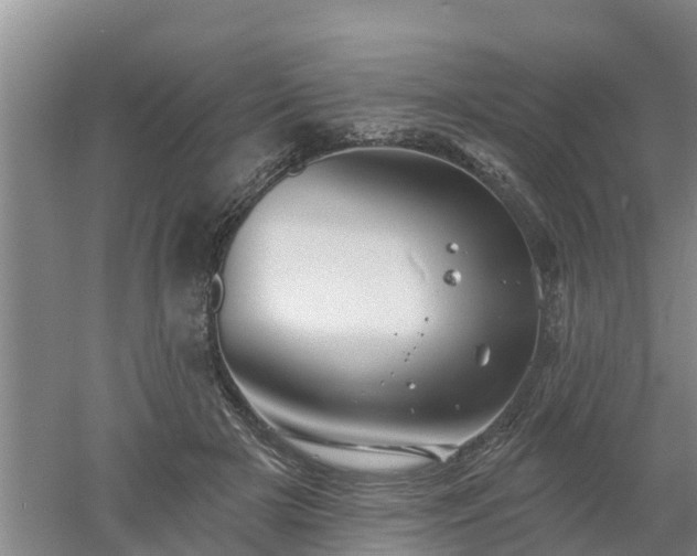 X0000053020505200507152017