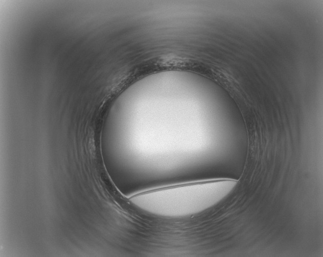 X0000053020508200507152017