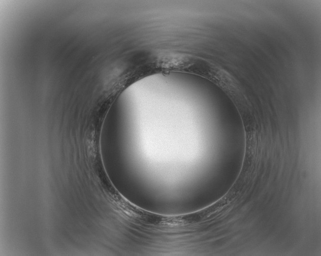 X0000053020510200507152017