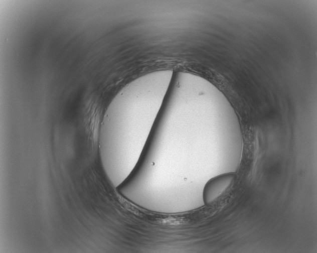 X0000053020511200507152017