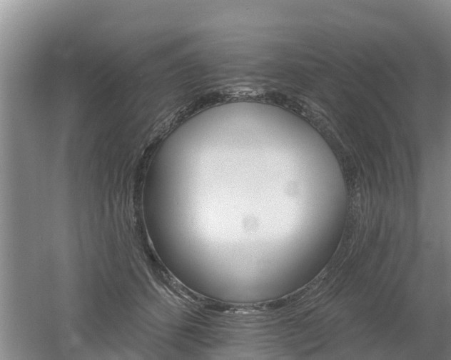 X0000053020512200507152017