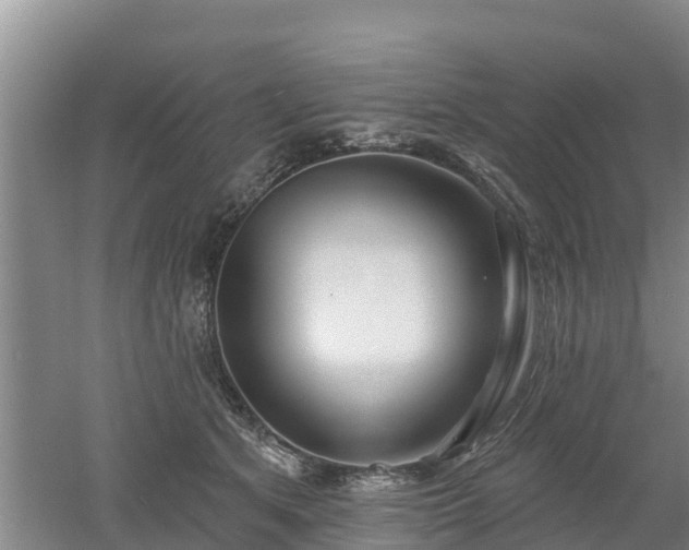 X0000053020513200507152017