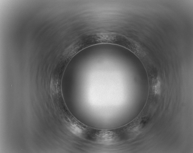 X0000053020514200507152017