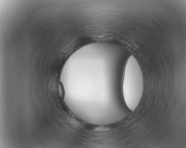 X0000053020515200507152017