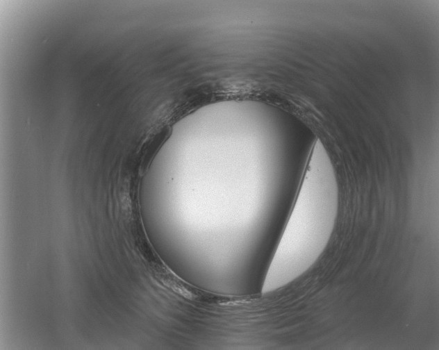 X0000053020516200507152017