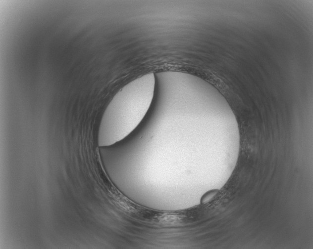 X0000053020518200507152017