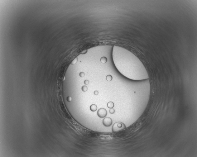 X0000053020519200507152017