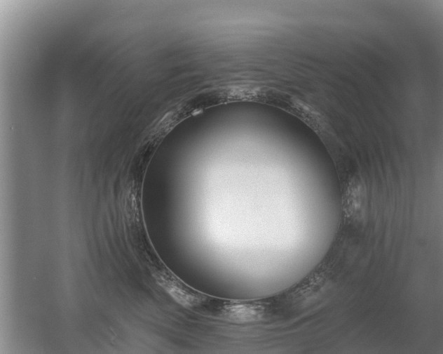 X0000053020522200507152017